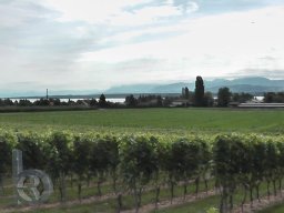 |QDT2012|Romandie|Genfersee|Panorama-Wein| 